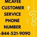 McAfee Phone Number